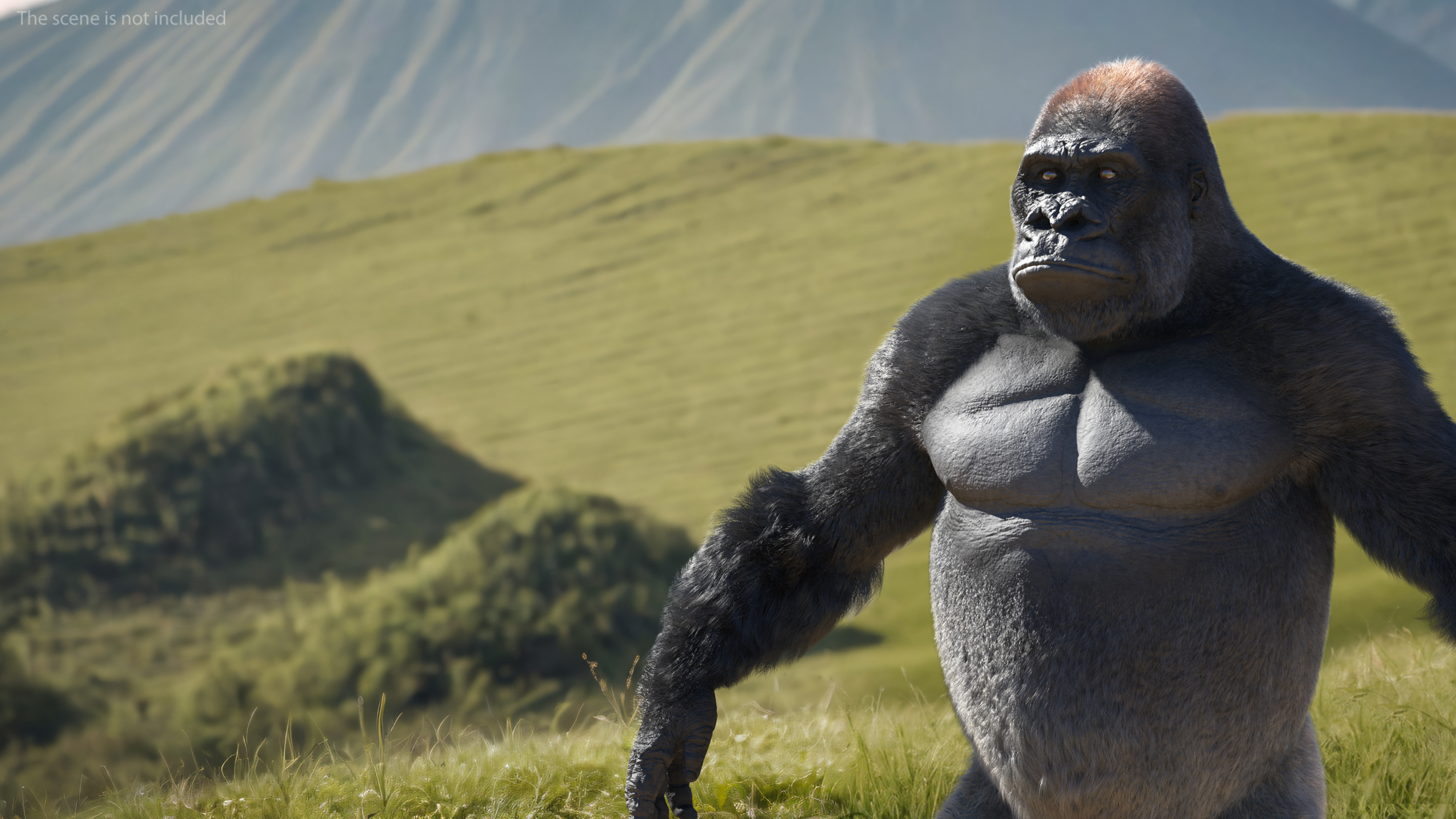 3D model Roaring Gorilla Fur Animated Rigged