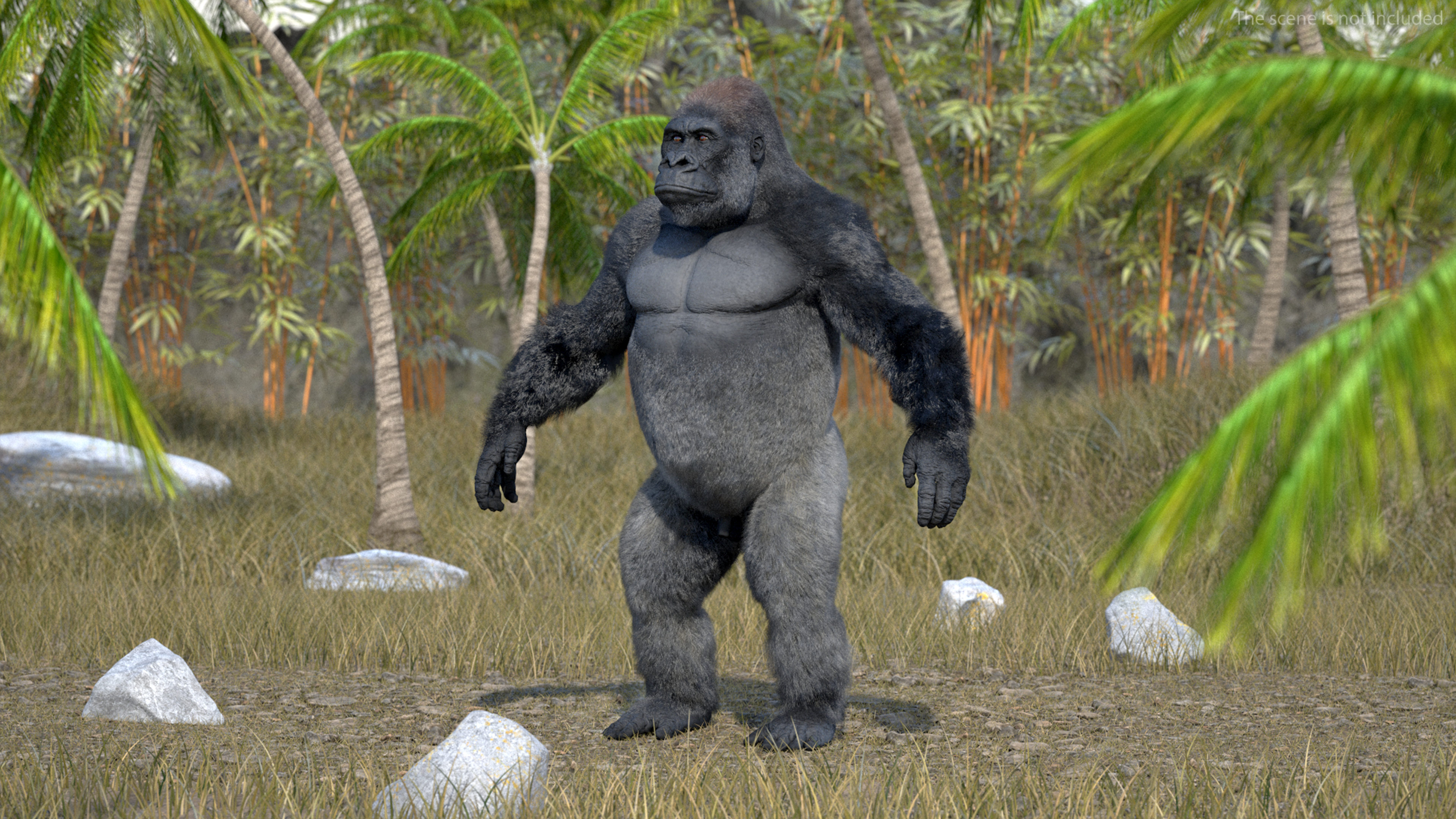 3D model Roaring Gorilla Fur Animated Rigged