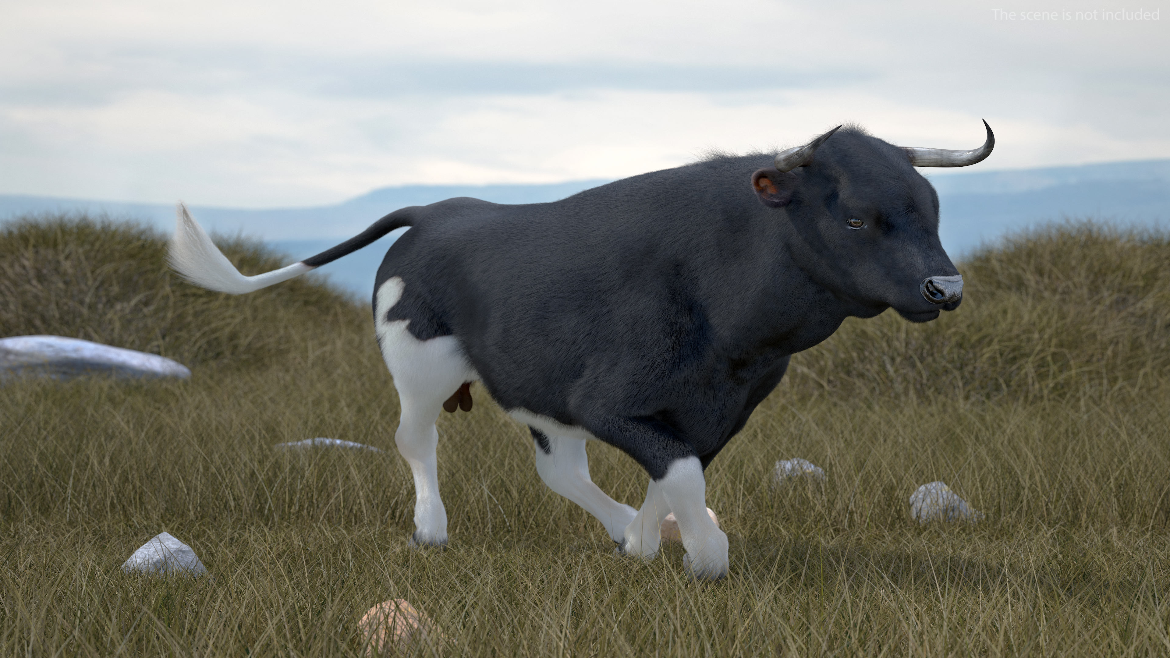 3D Black Bull Fur Rigged