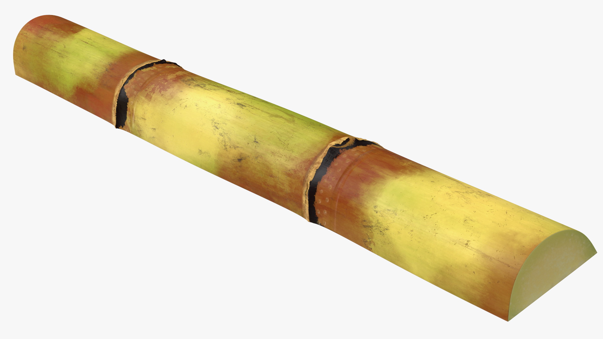 3D model Green Sugarcane Half Cut Piece