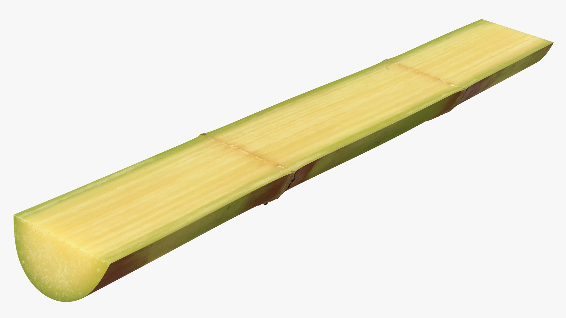 3D model Green Sugarcane Half Cut Piece