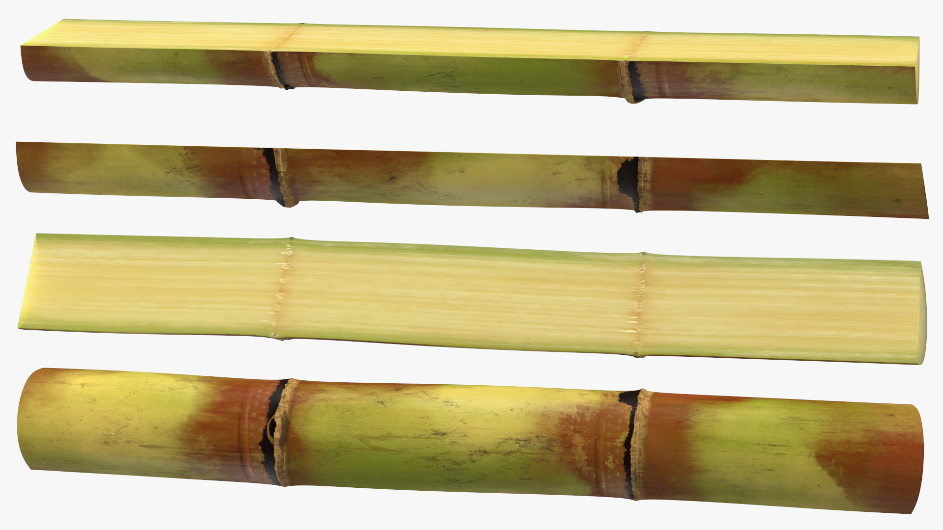 3D model Green Sugarcane Half Cut Piece