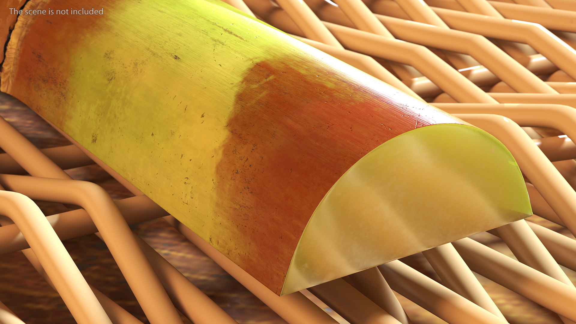 3D model Green Sugarcane Half Cut Piece