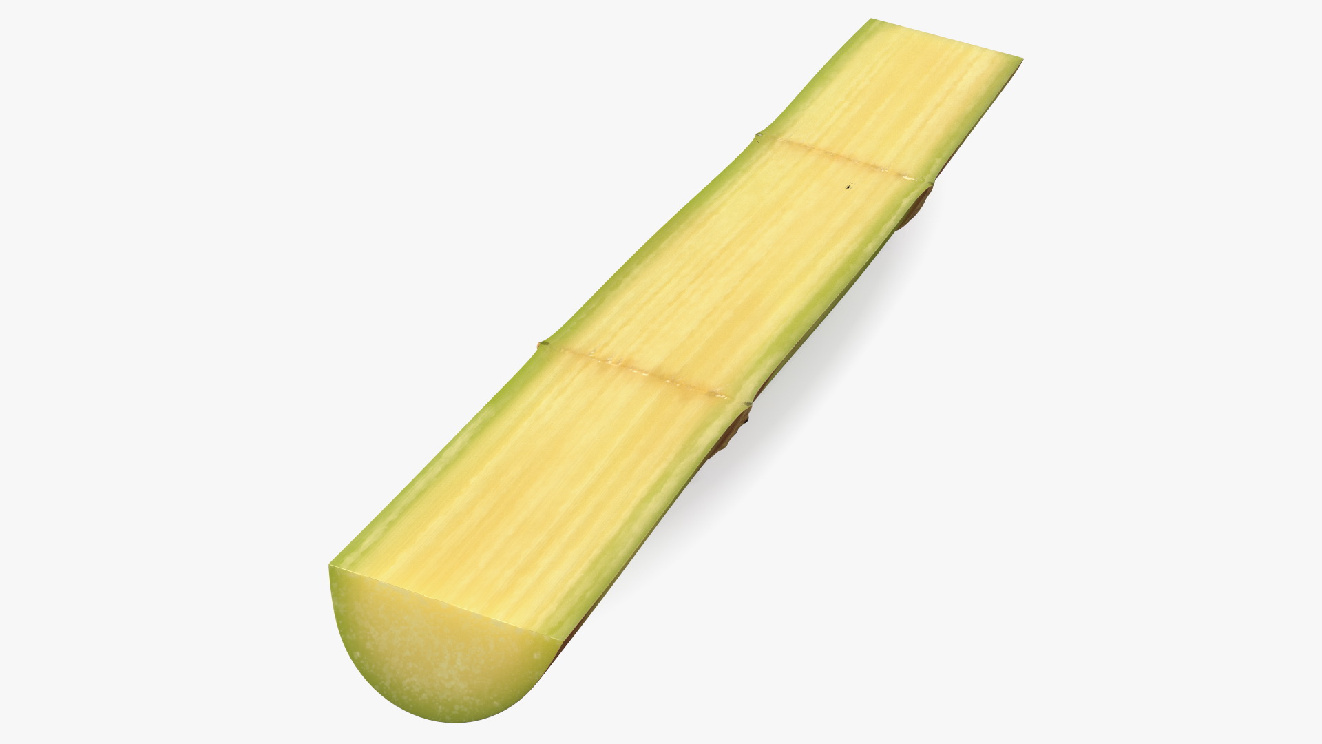 3D model Green Sugarcane Half Cut Piece