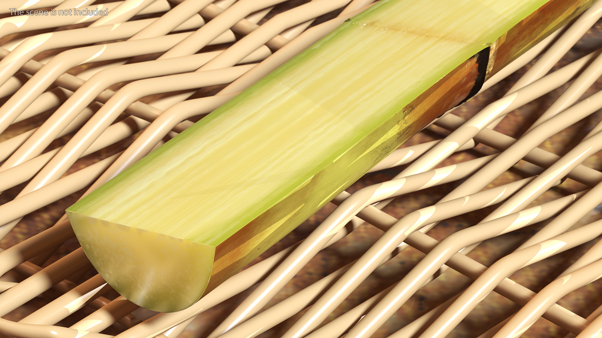 3D model Green Sugarcane Half Cut Piece