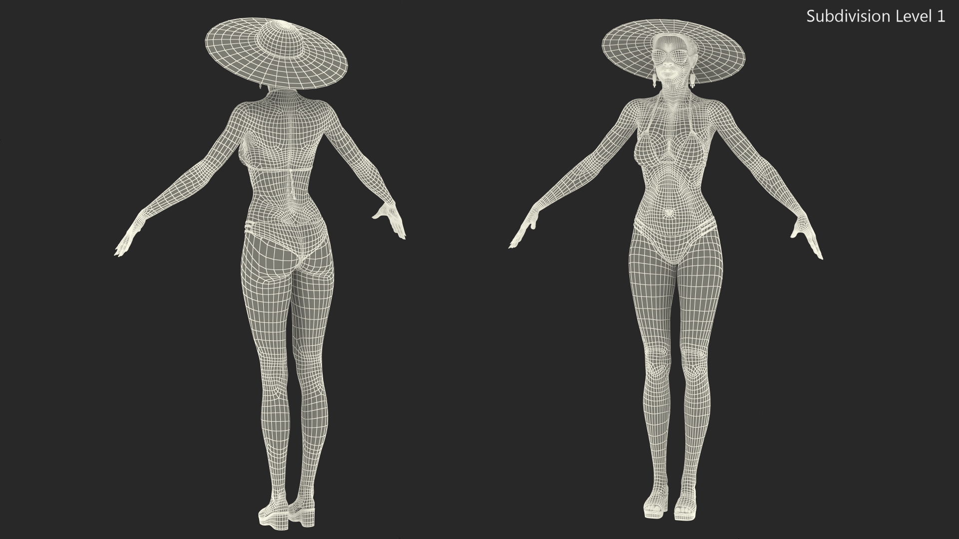 3D Dark Skinned Bikini Girl Rigged