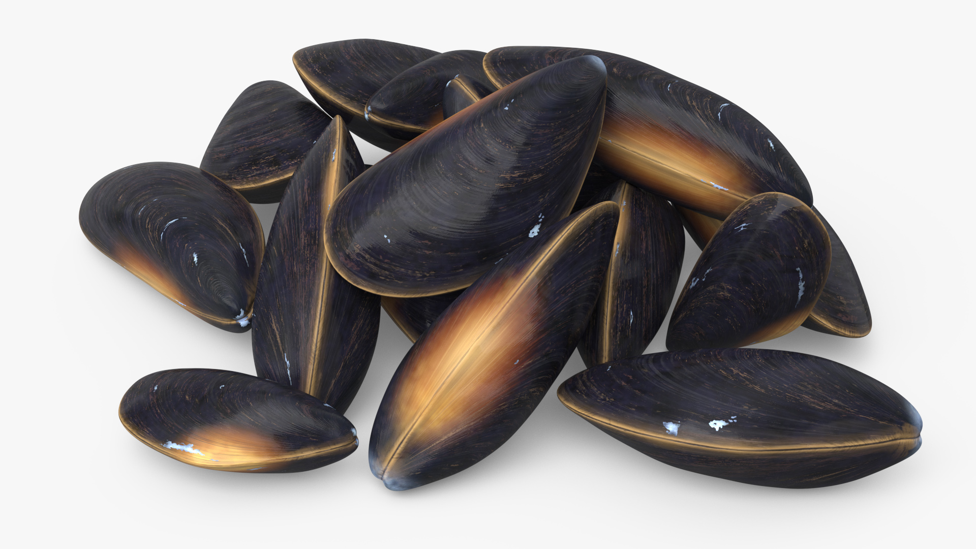 Bunch of Clams 3D model