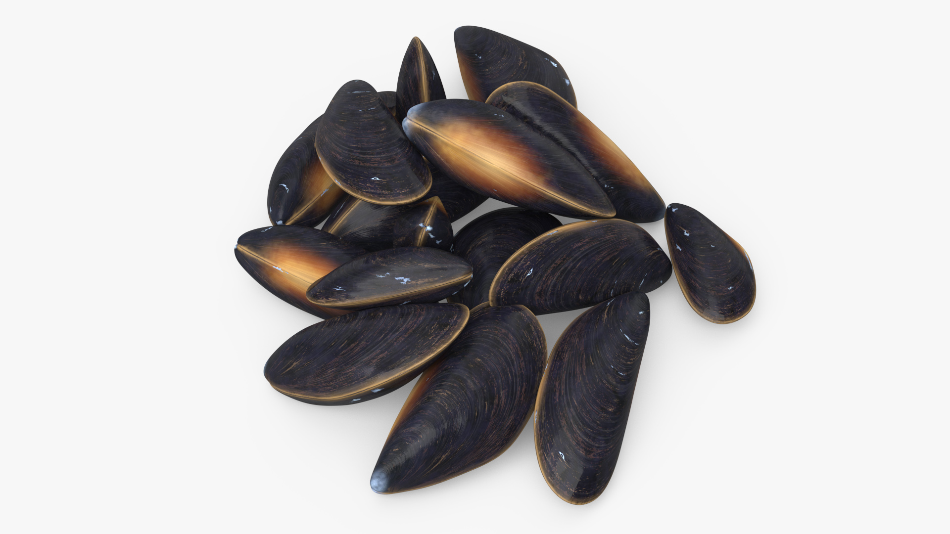 Bunch of Clams 3D model