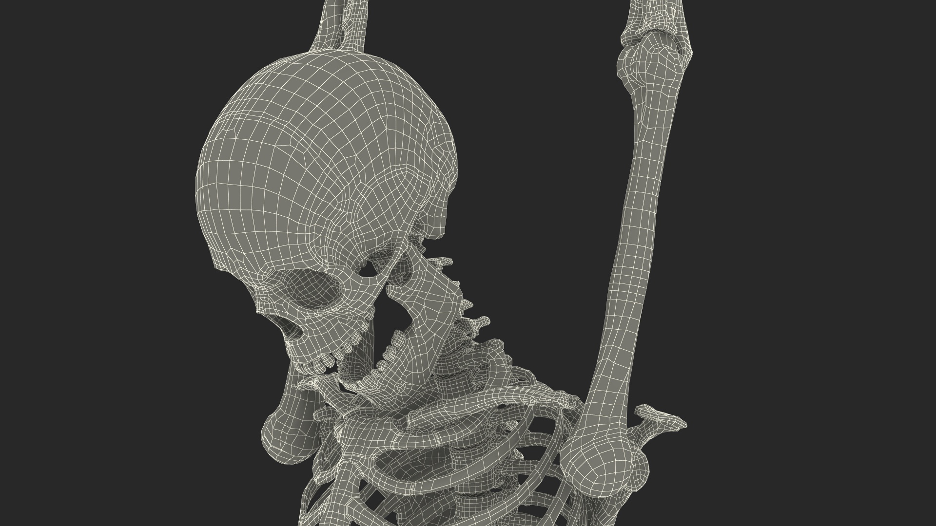 3D Human Male Remains Skeleton Shackled