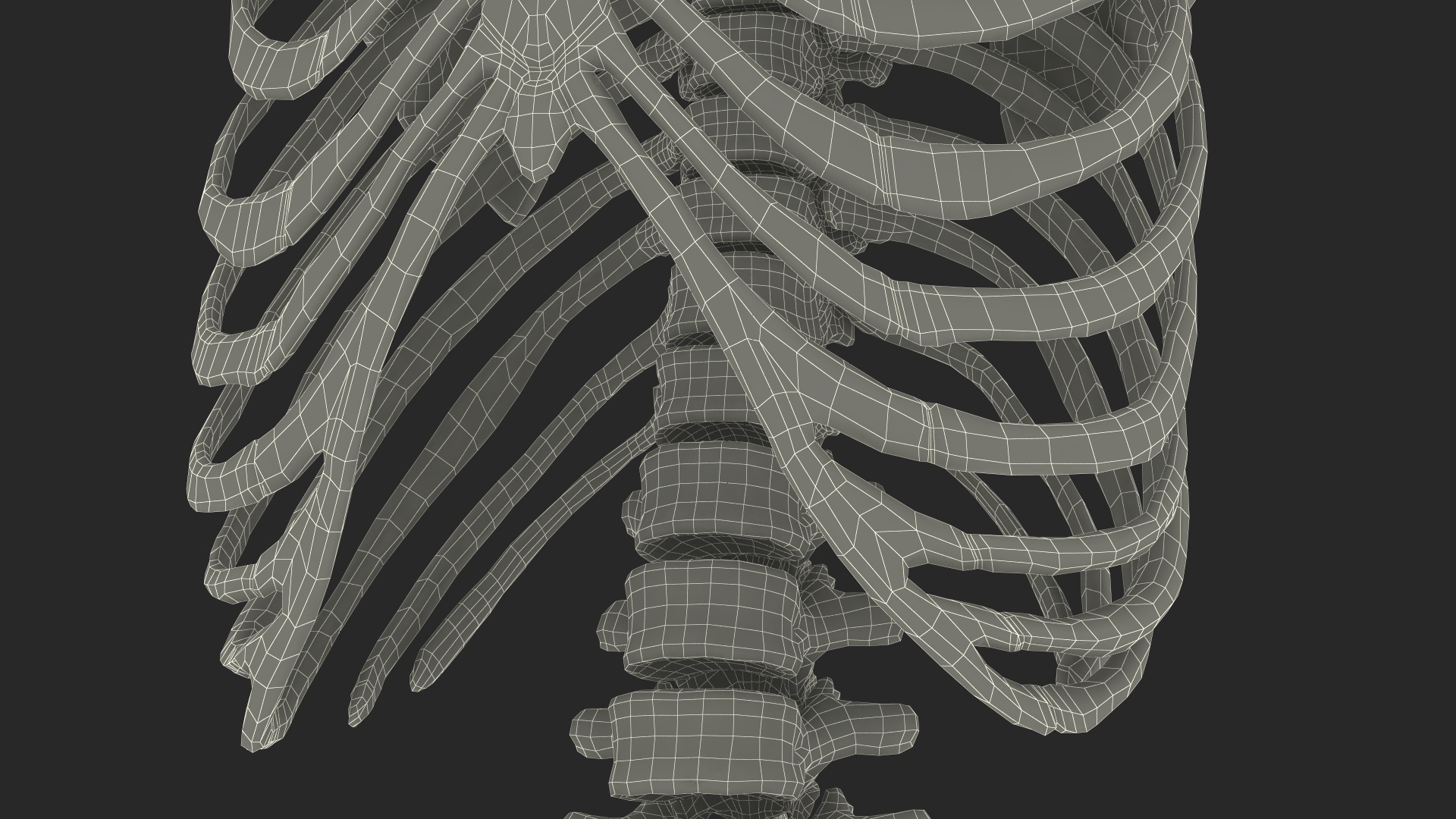 3D Human Male Remains Skeleton Shackled