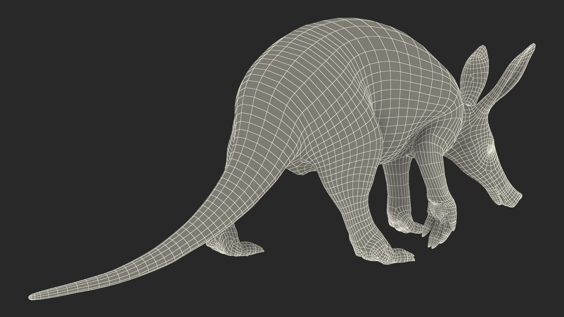 Nocturnal Mammal Aardvark Walking Pose Fur 3D