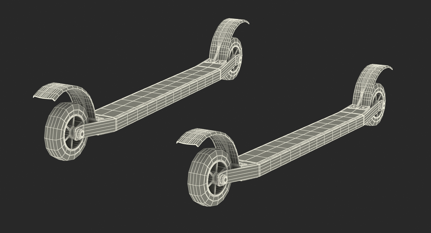 Roller Skis Generic 3D model