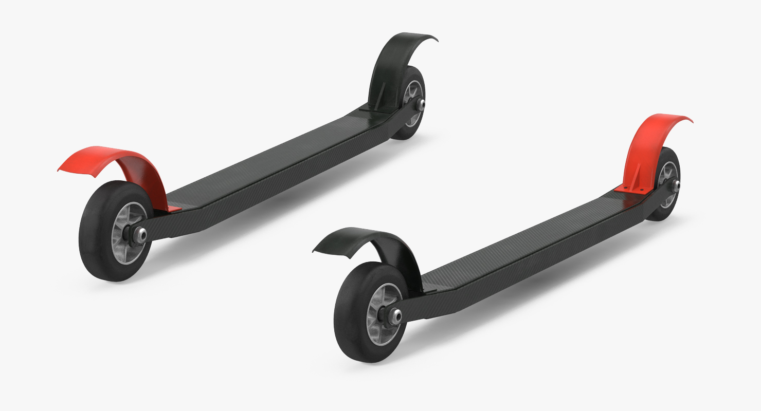 Roller Skis Generic 3D model