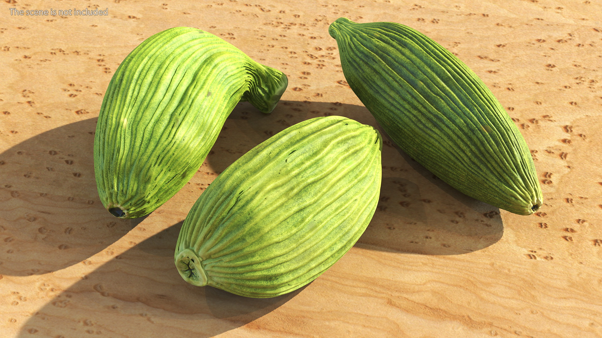 3D Dried Green Cardamom Fruit