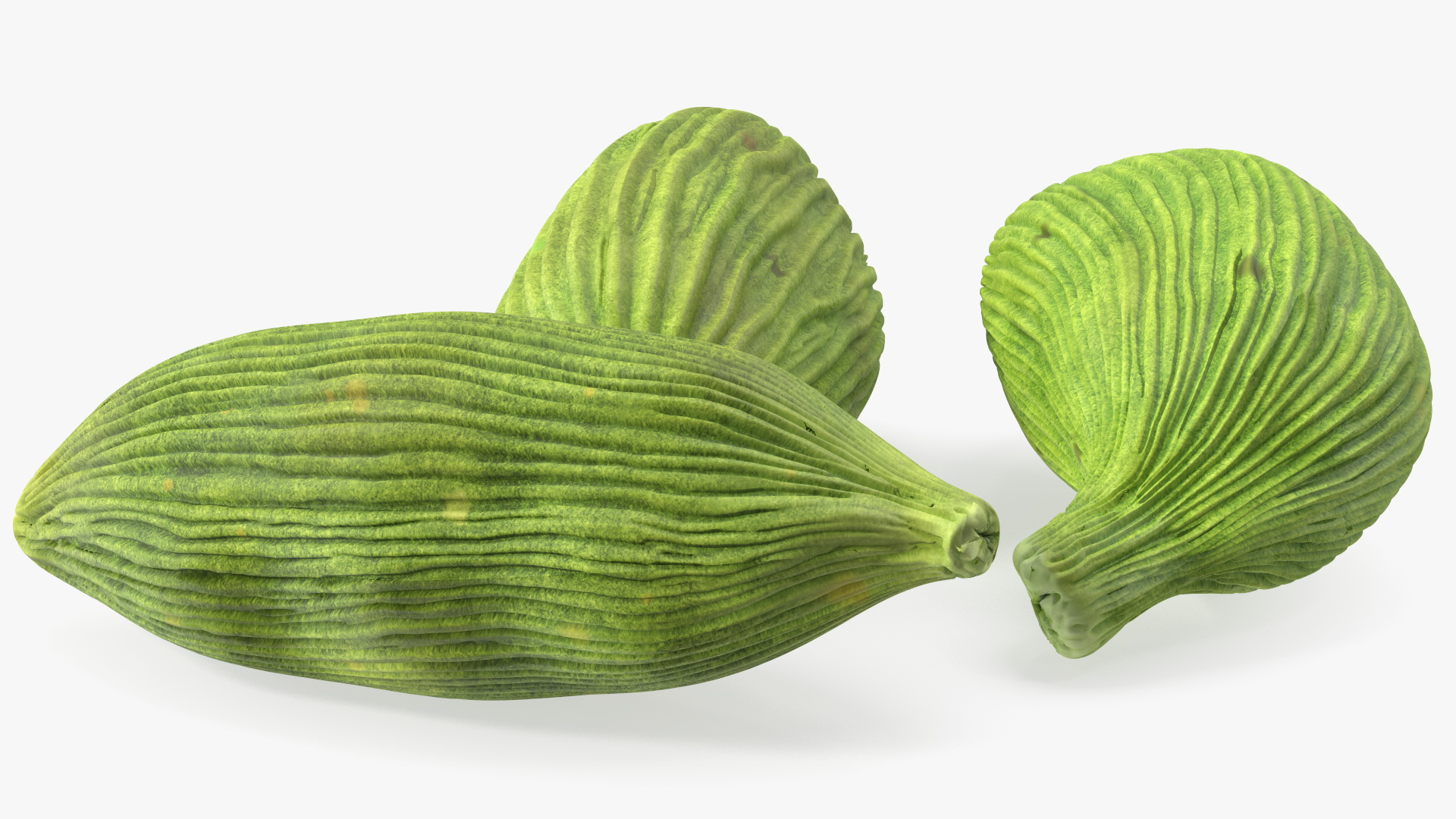 3D Dried Green Cardamom Fruit