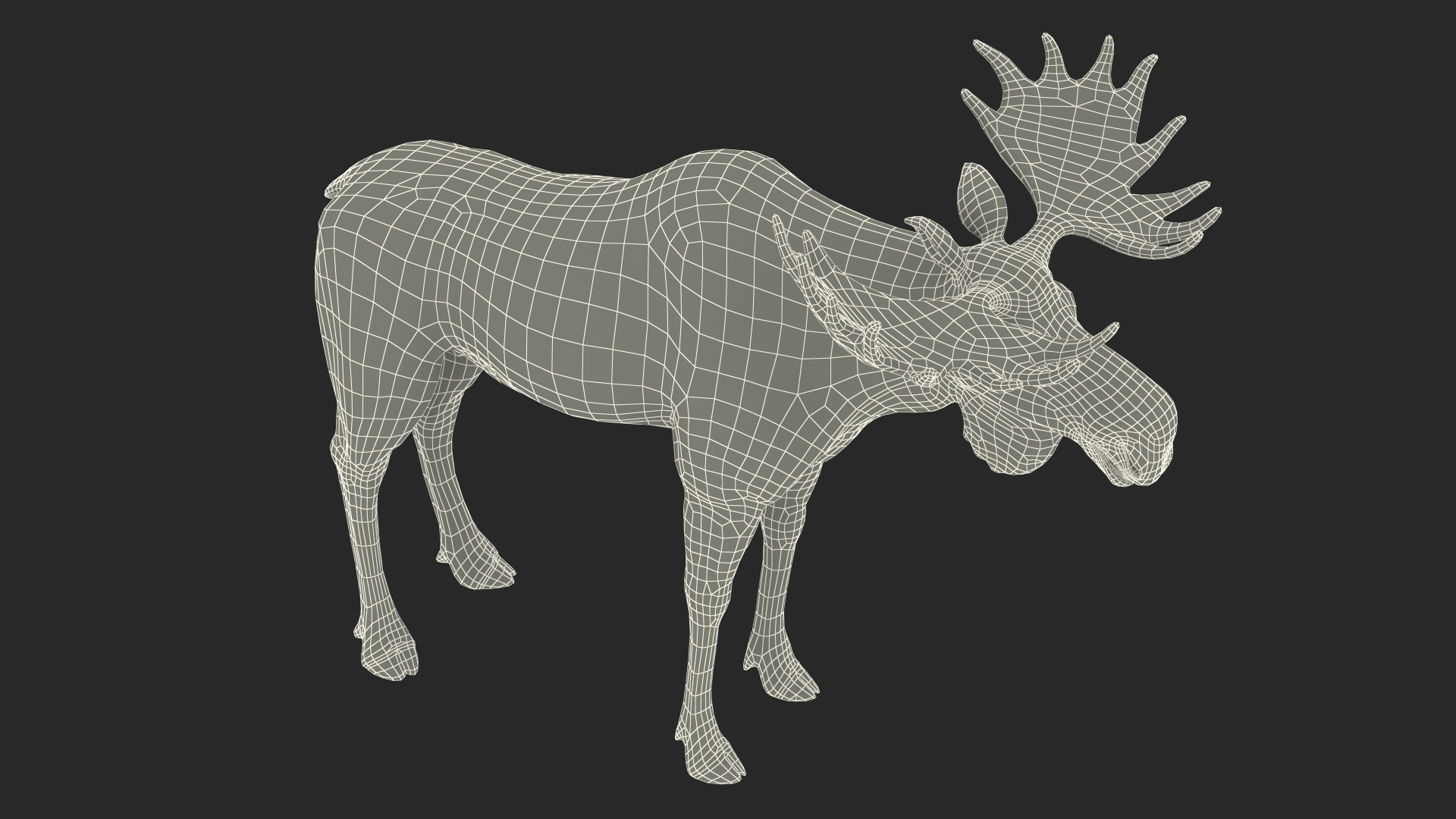 3D Moose Fur Rigged