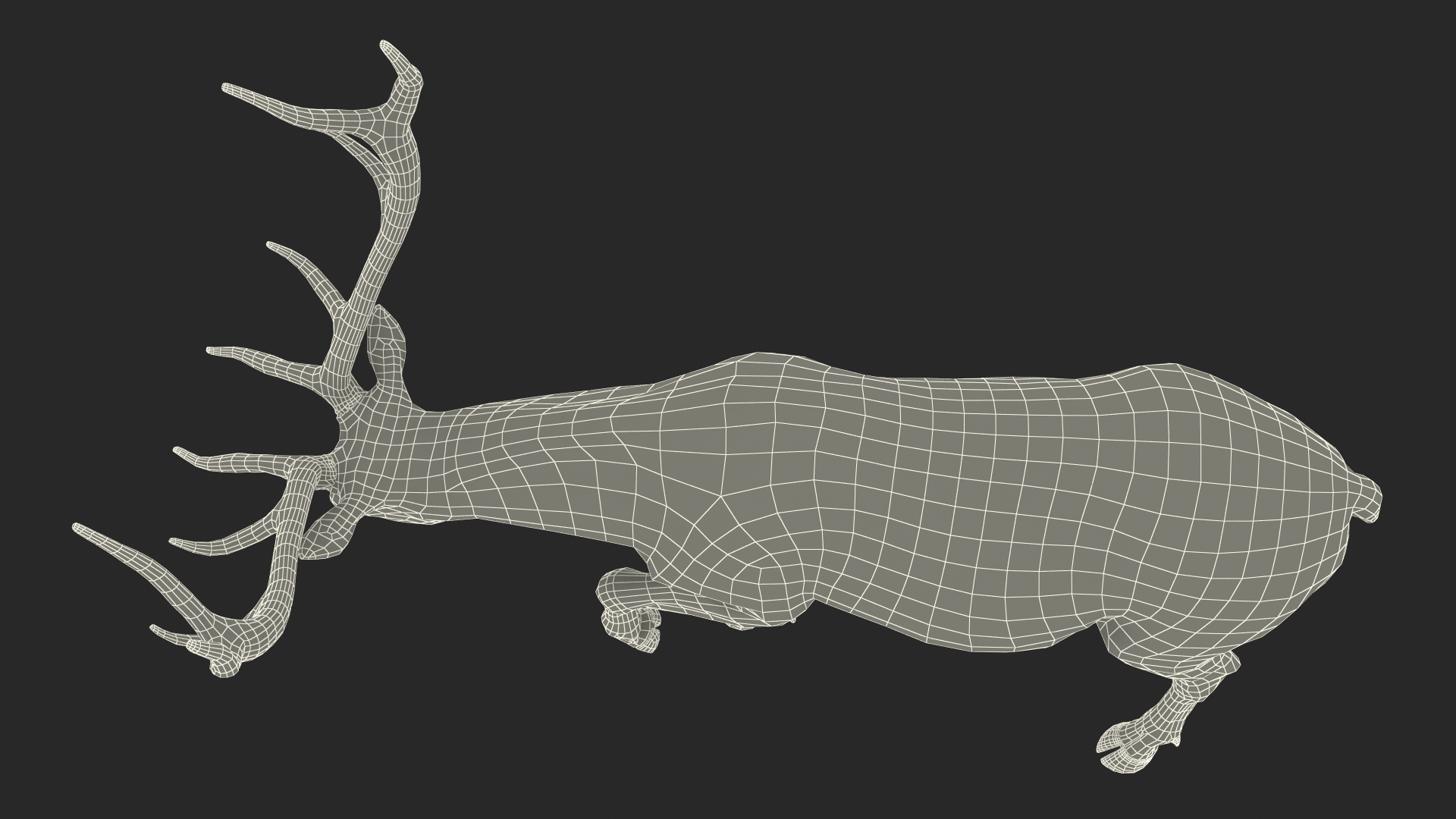 3D model Wapiti