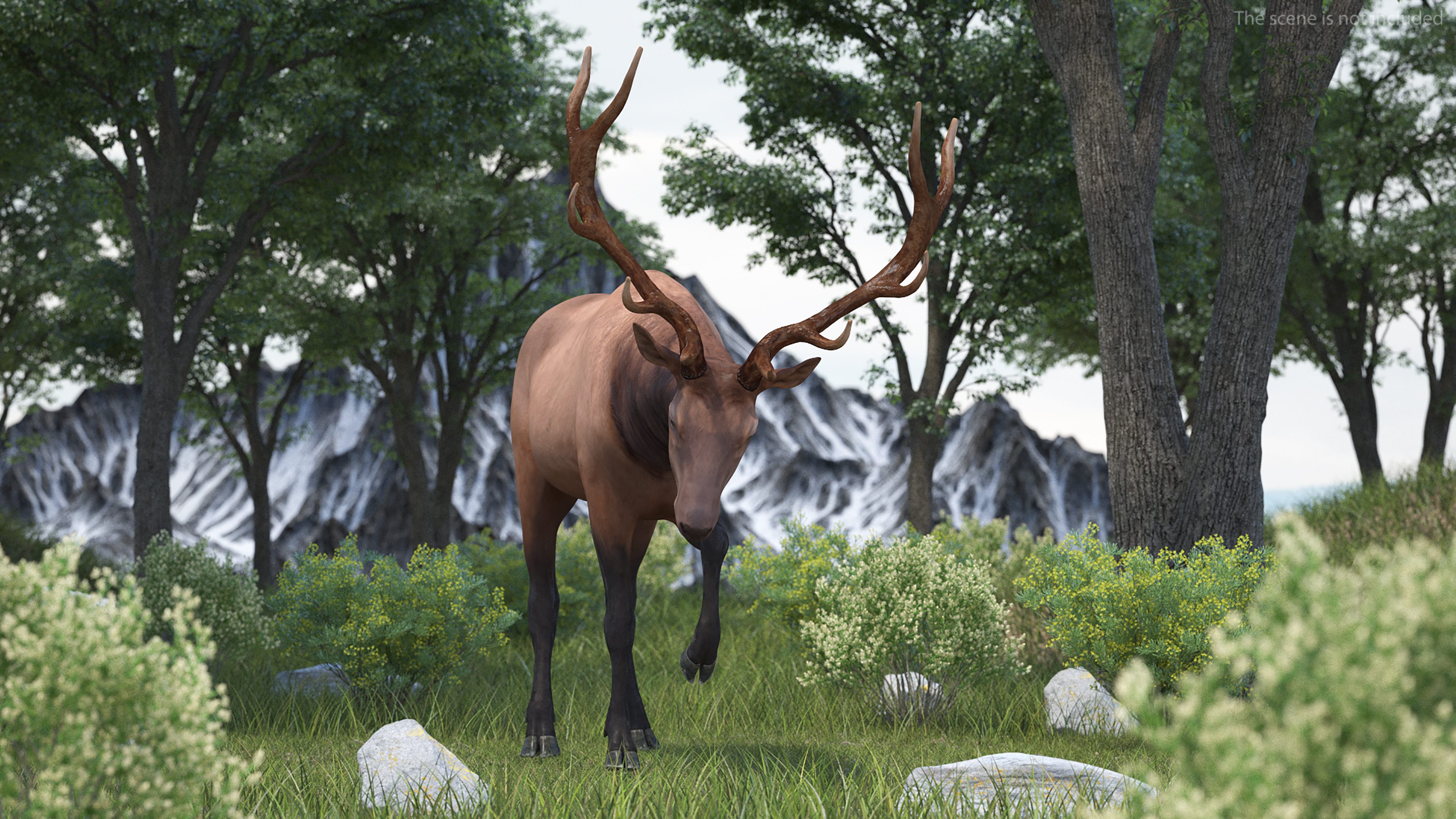 3D model Wapiti