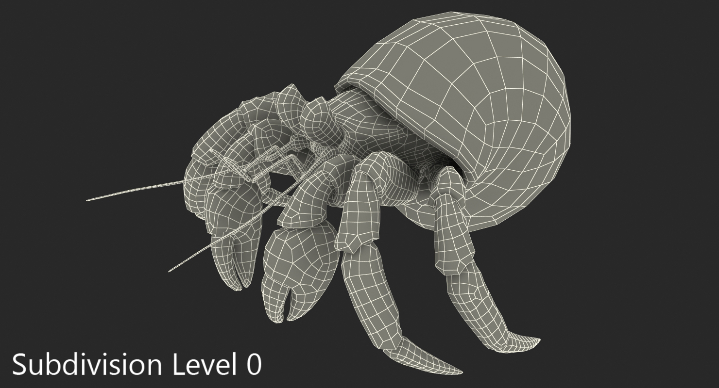 Hermit Crab Rigged with Fur 3D