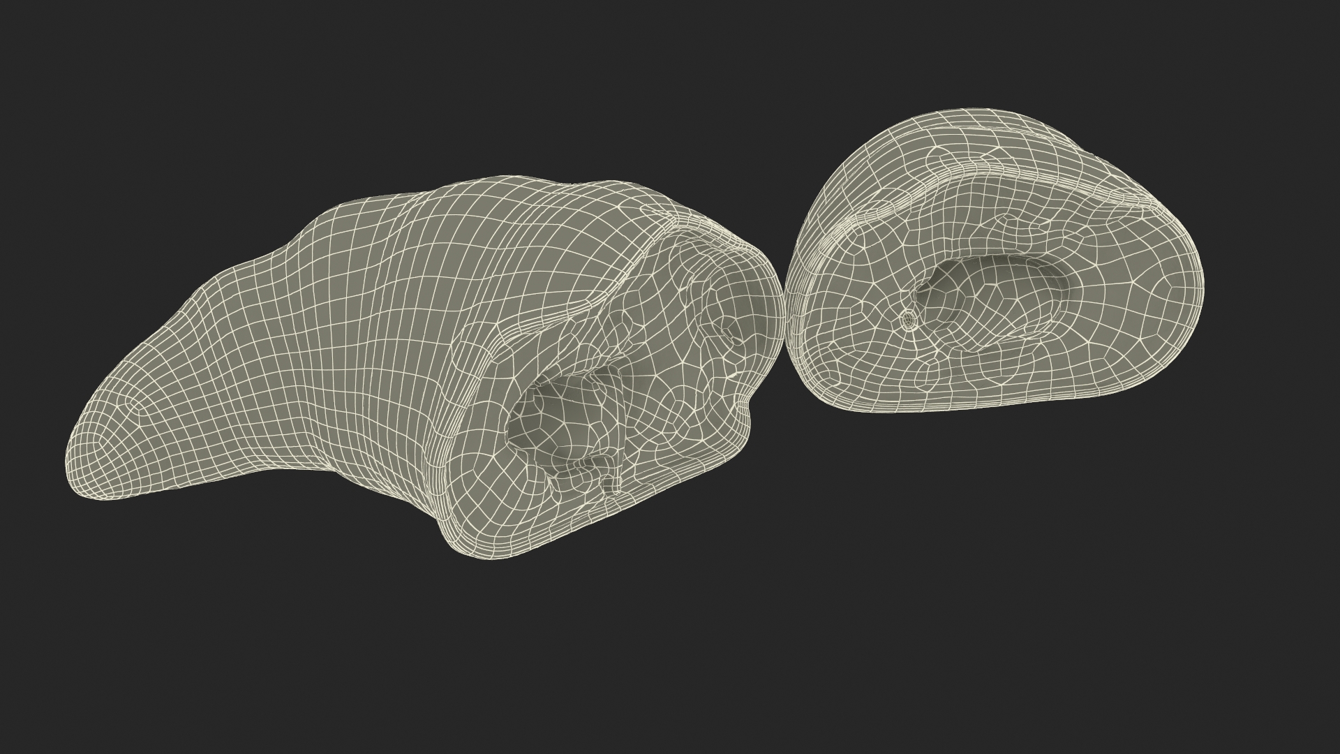 3D Croissant Halves