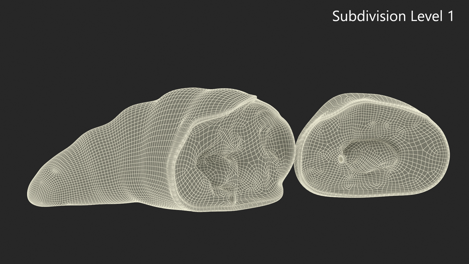 3D Croissant Halves