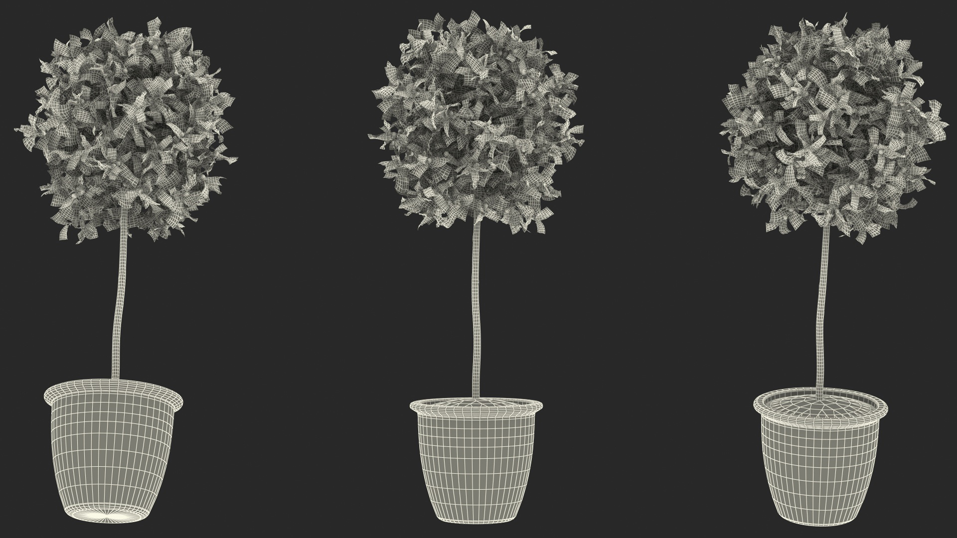 3D Holly Pot Plant Green with Fruits model