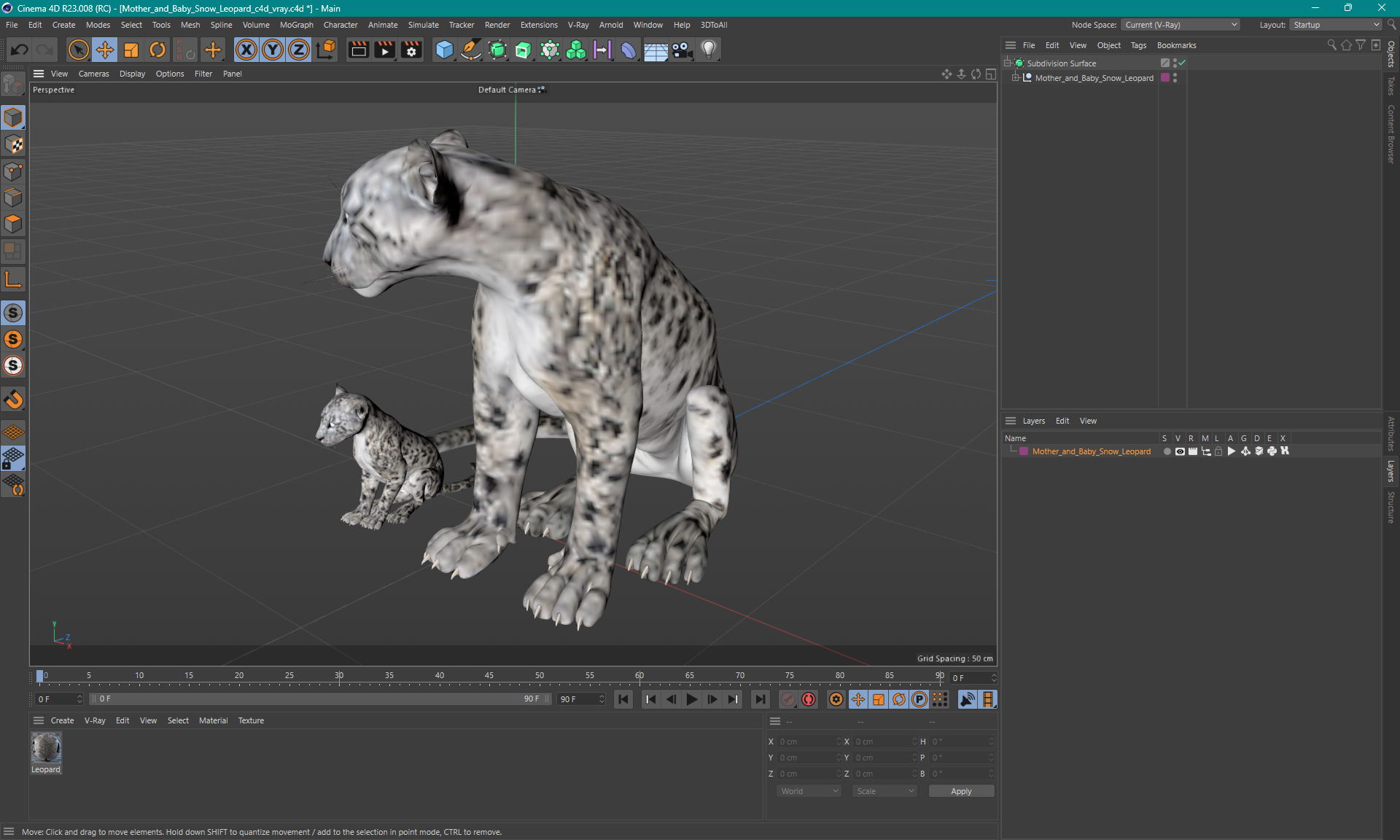 3D Mother and Baby Snow Leopard model