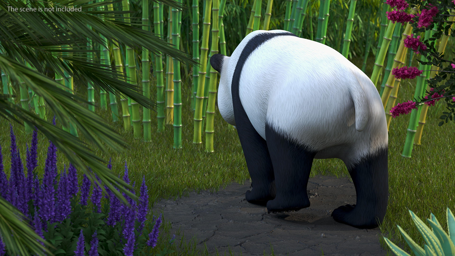 Giant Panda Walking Pose 3D model