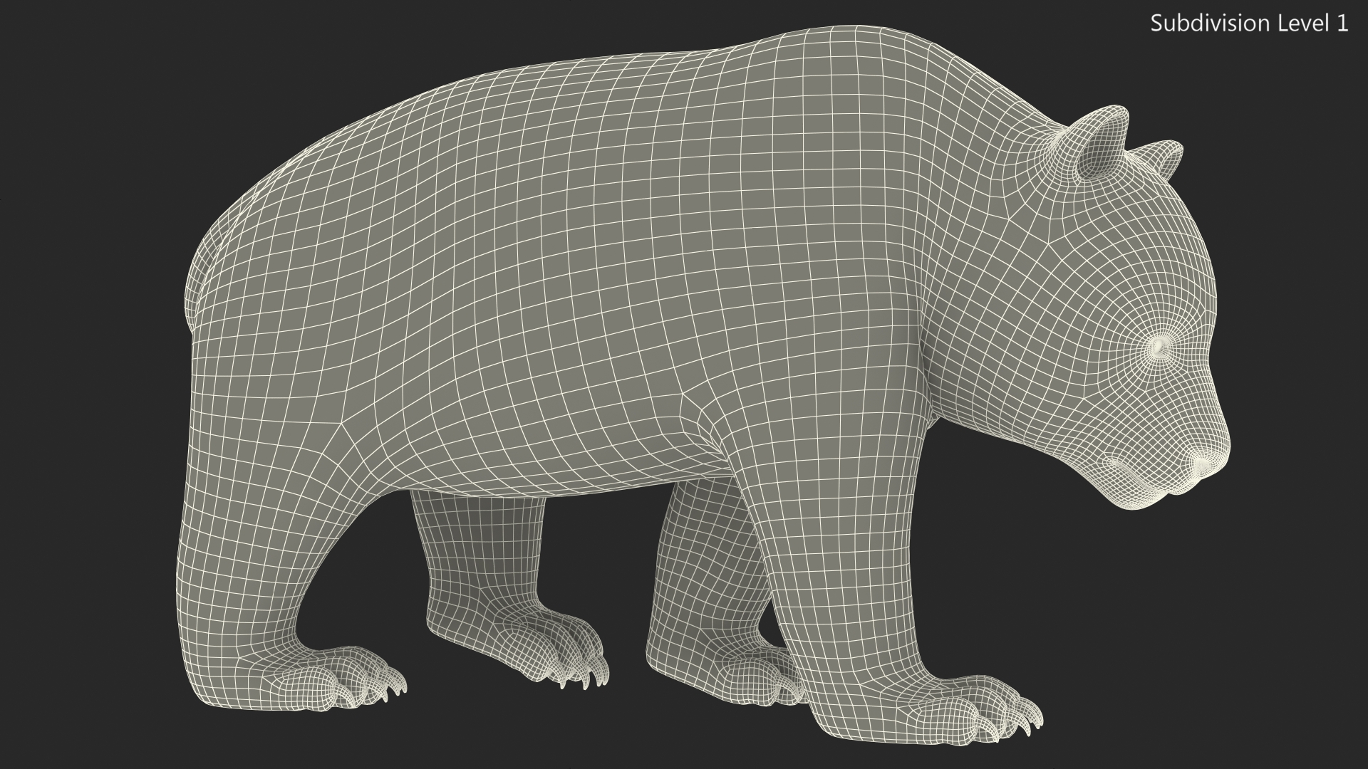 Giant Panda Walking Pose 3D model