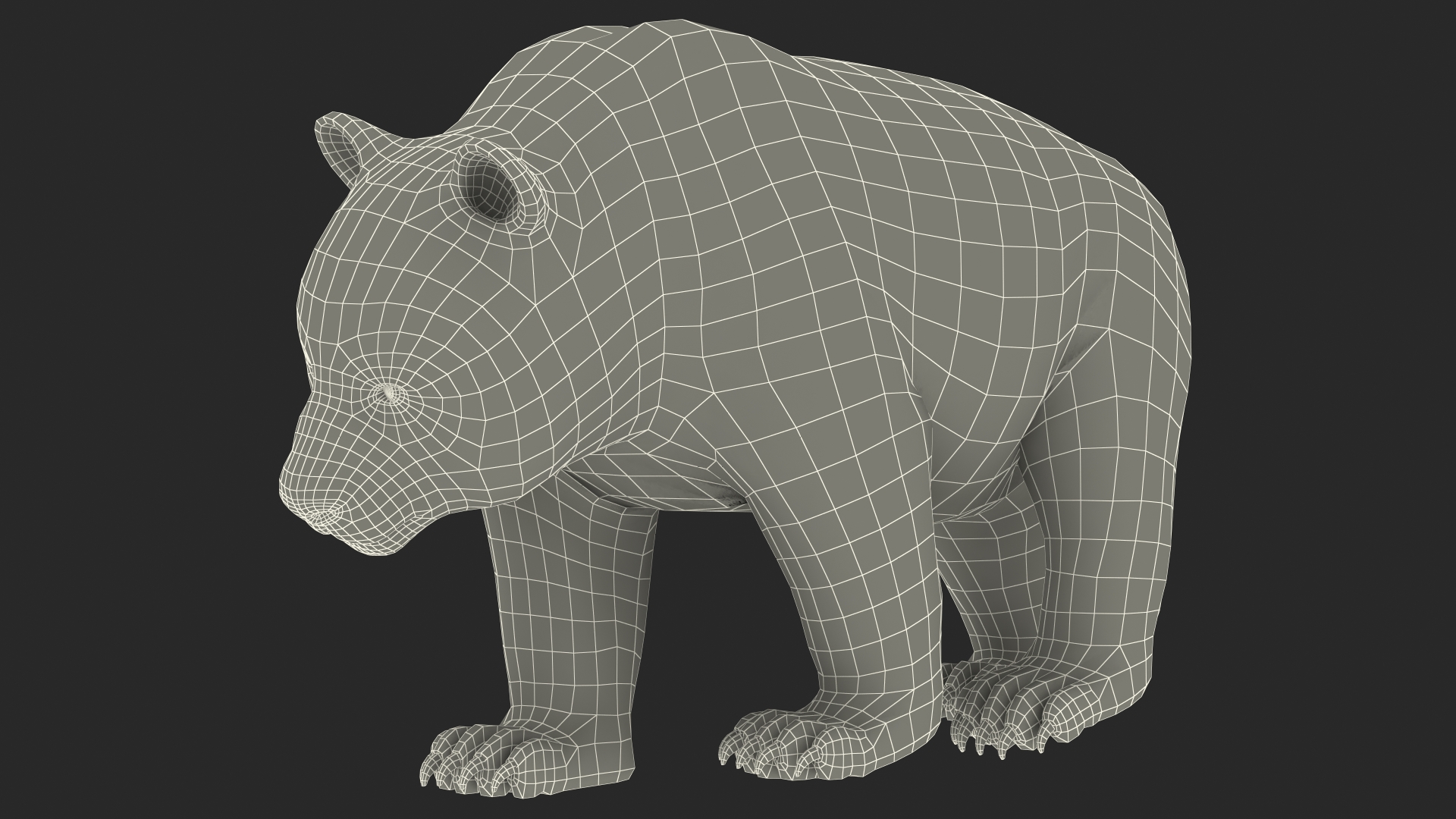 Giant Panda Walking Pose 3D model