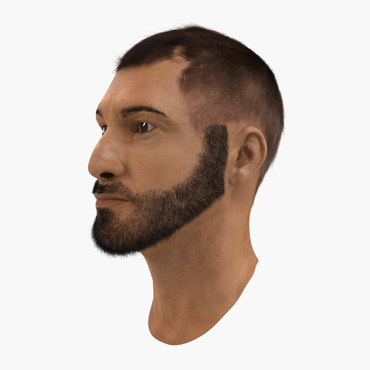 3D model Male Head 7 with Fur