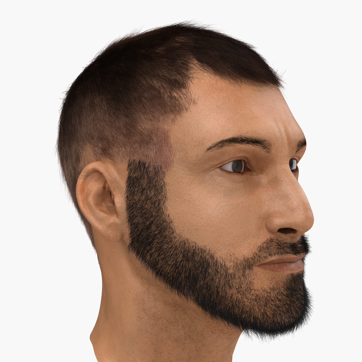 3D model Male Head 7 with Fur