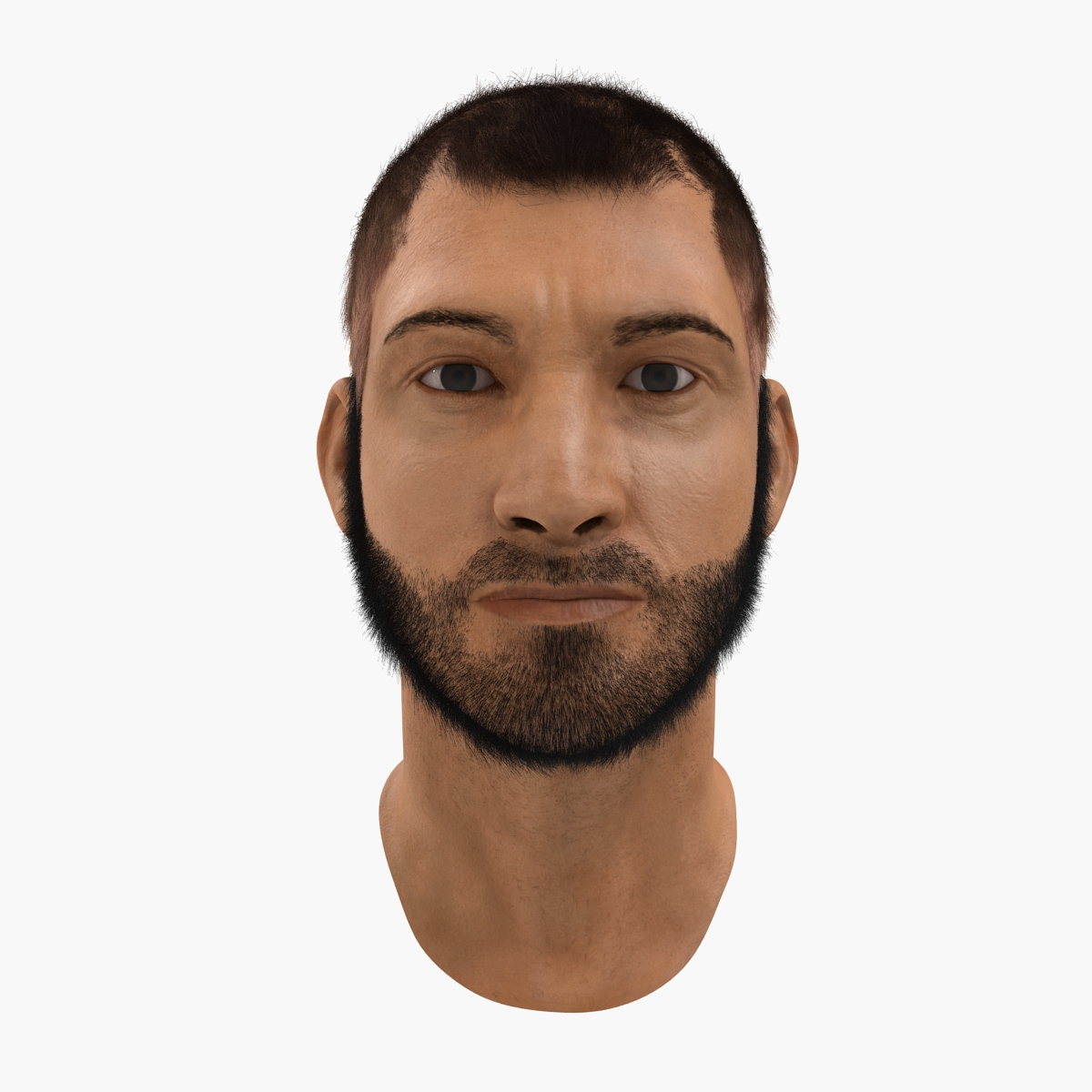 3D model Male Head 7 with Fur