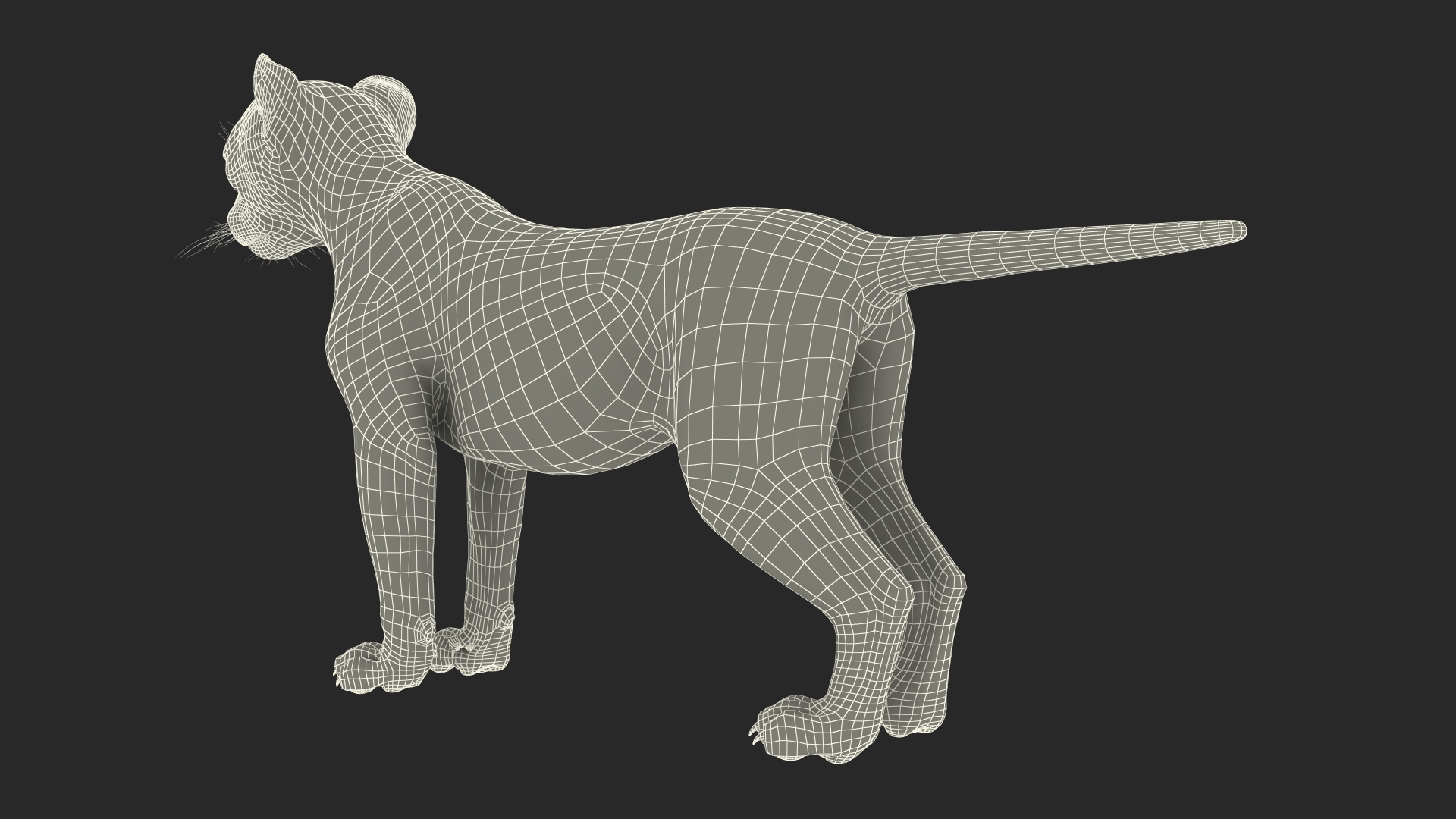 3D model Cheetah Cub Fur