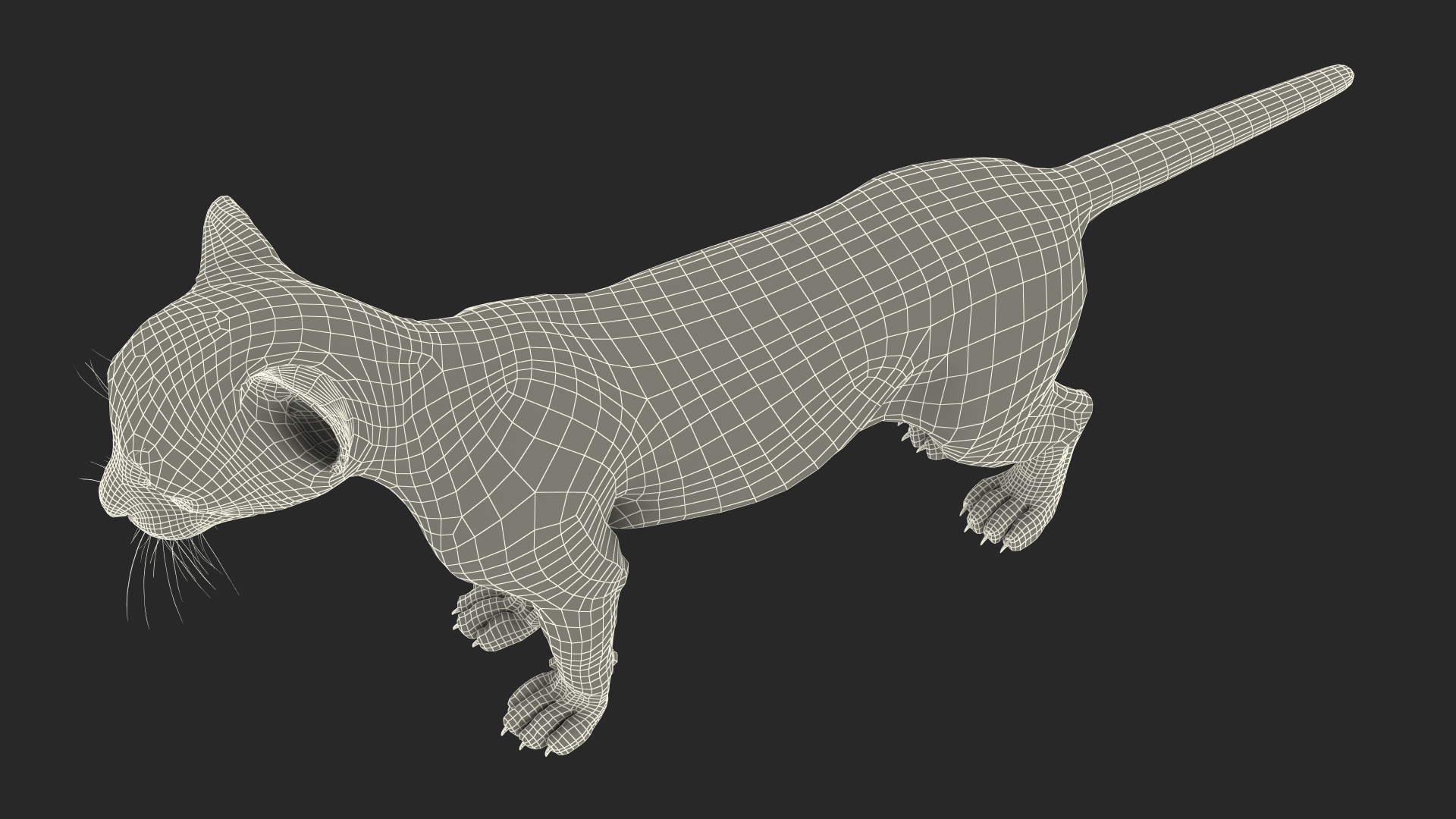 3D model Cheetah Cub Fur