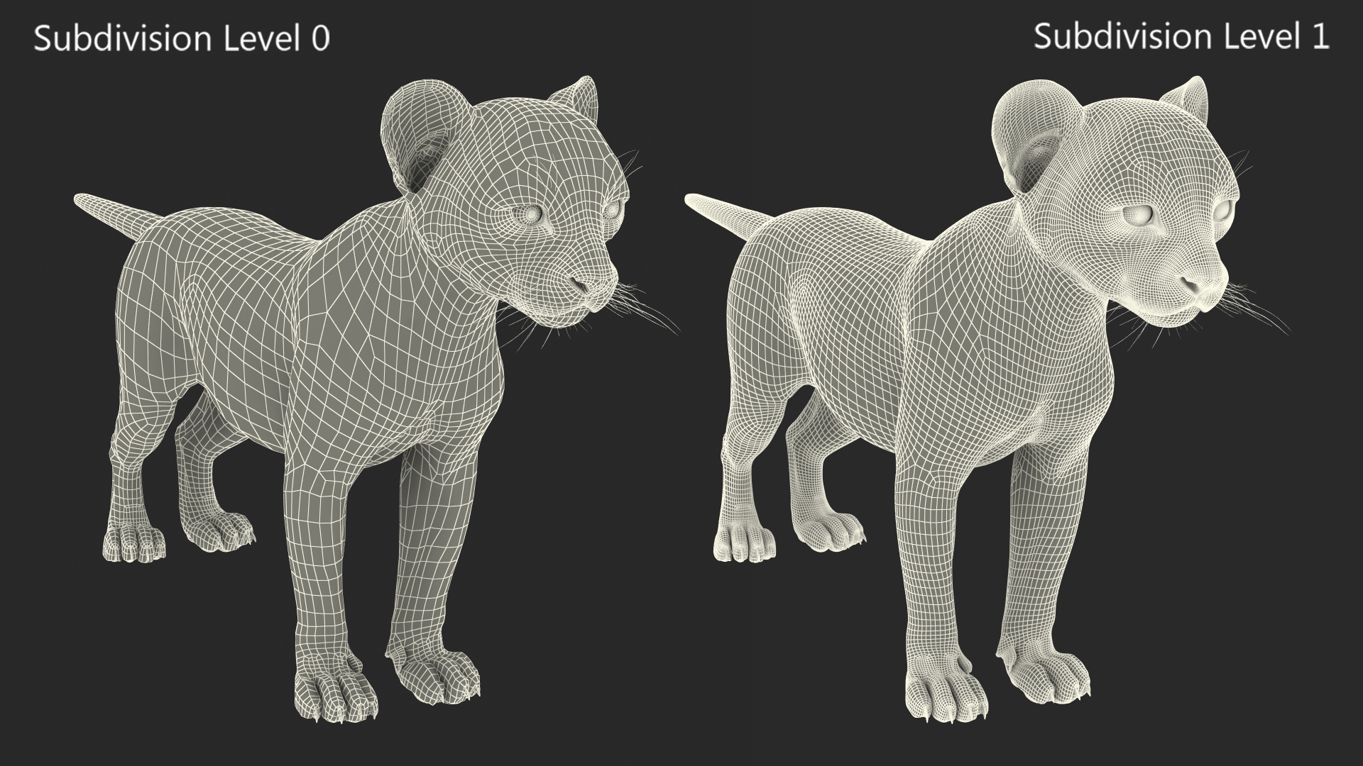 3D model Cheetah Cub Fur