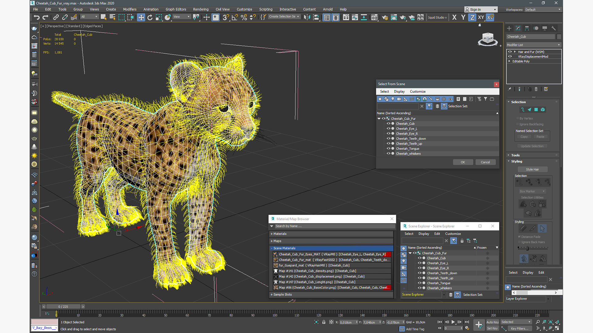 3D model Cheetah Cub Fur