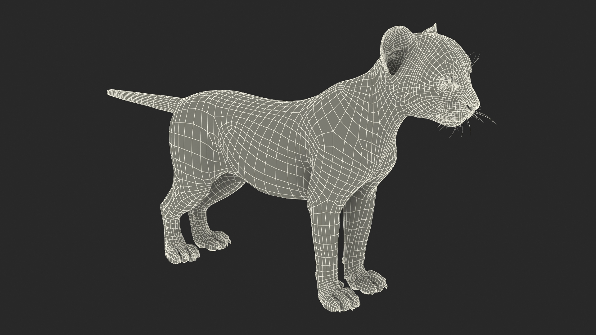 3D model Cheetah Cub Fur