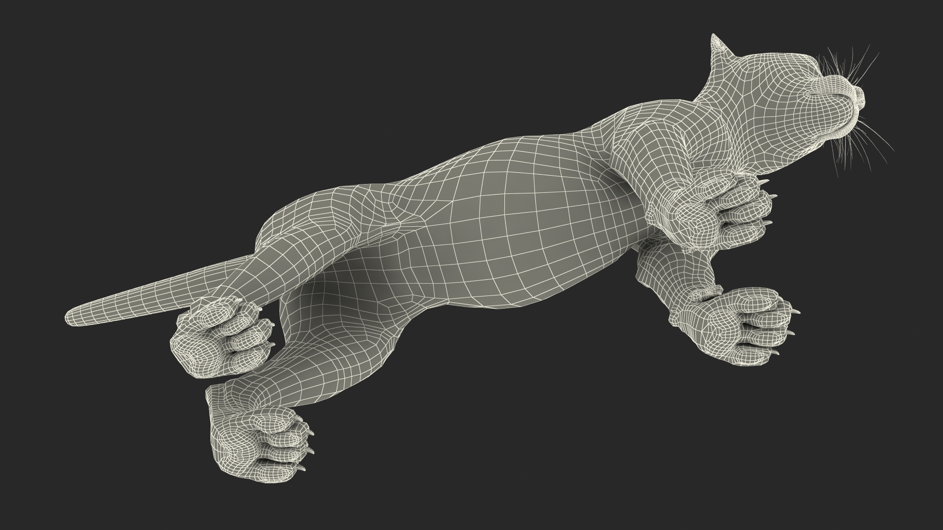 3D model Cheetah Cub Fur