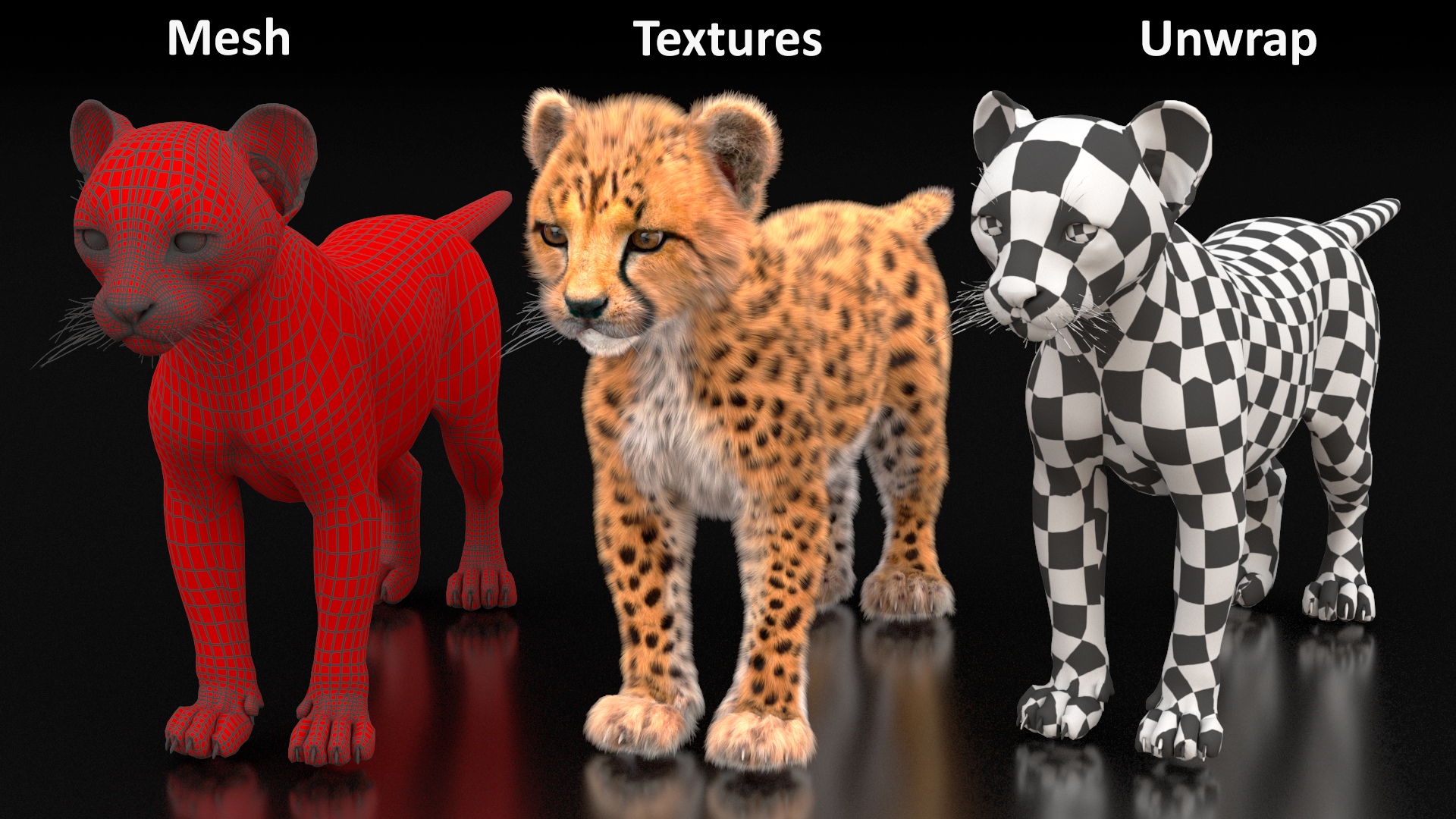 3D model Cheetah Cub Fur