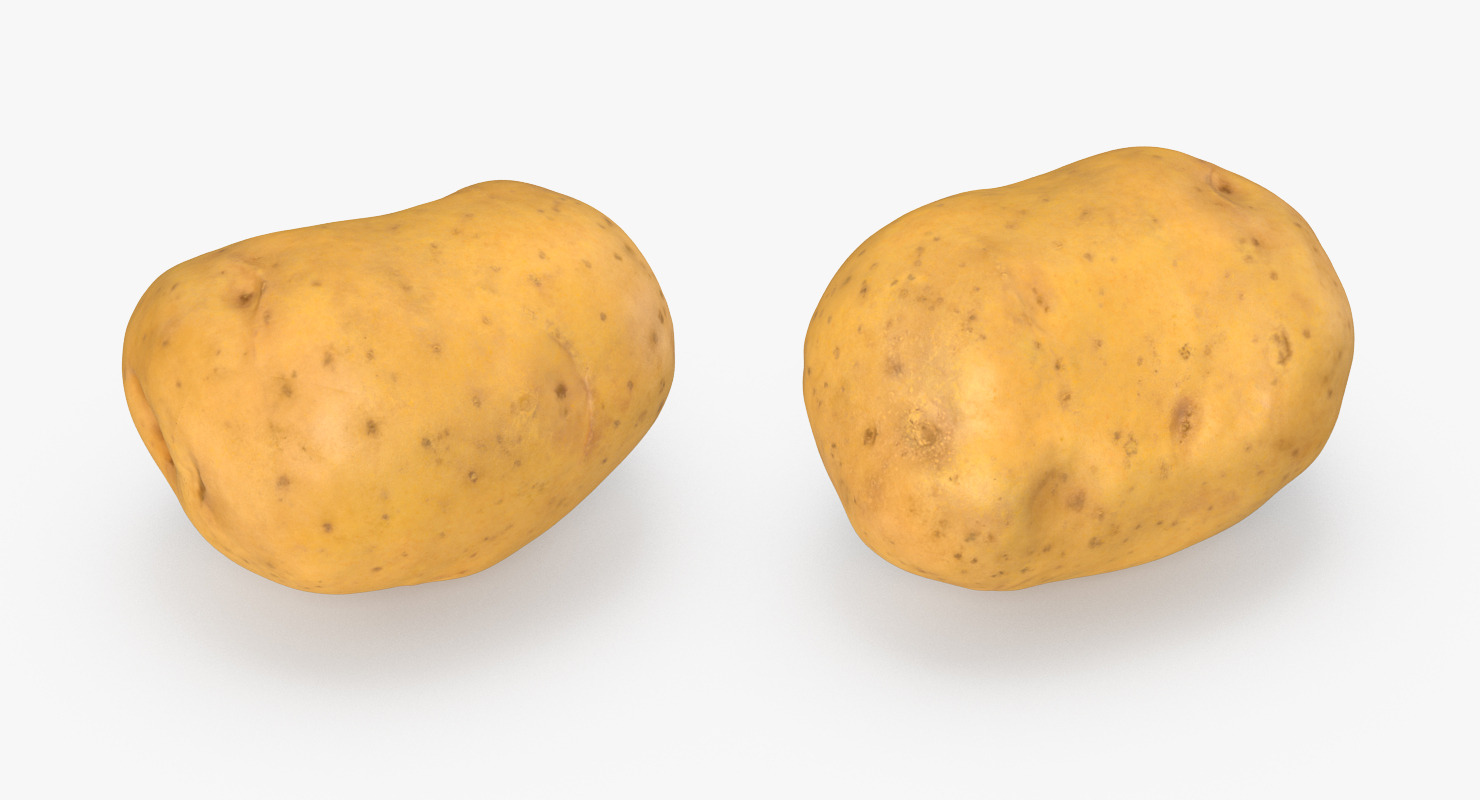 3D model Potato