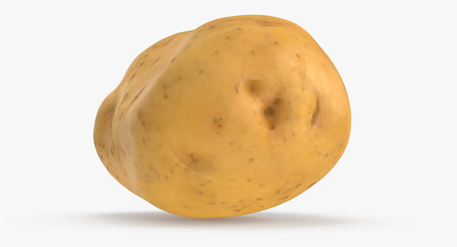 3D model Potato