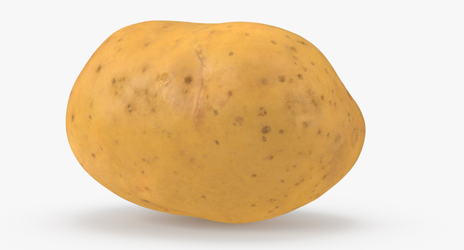 3D model Potato