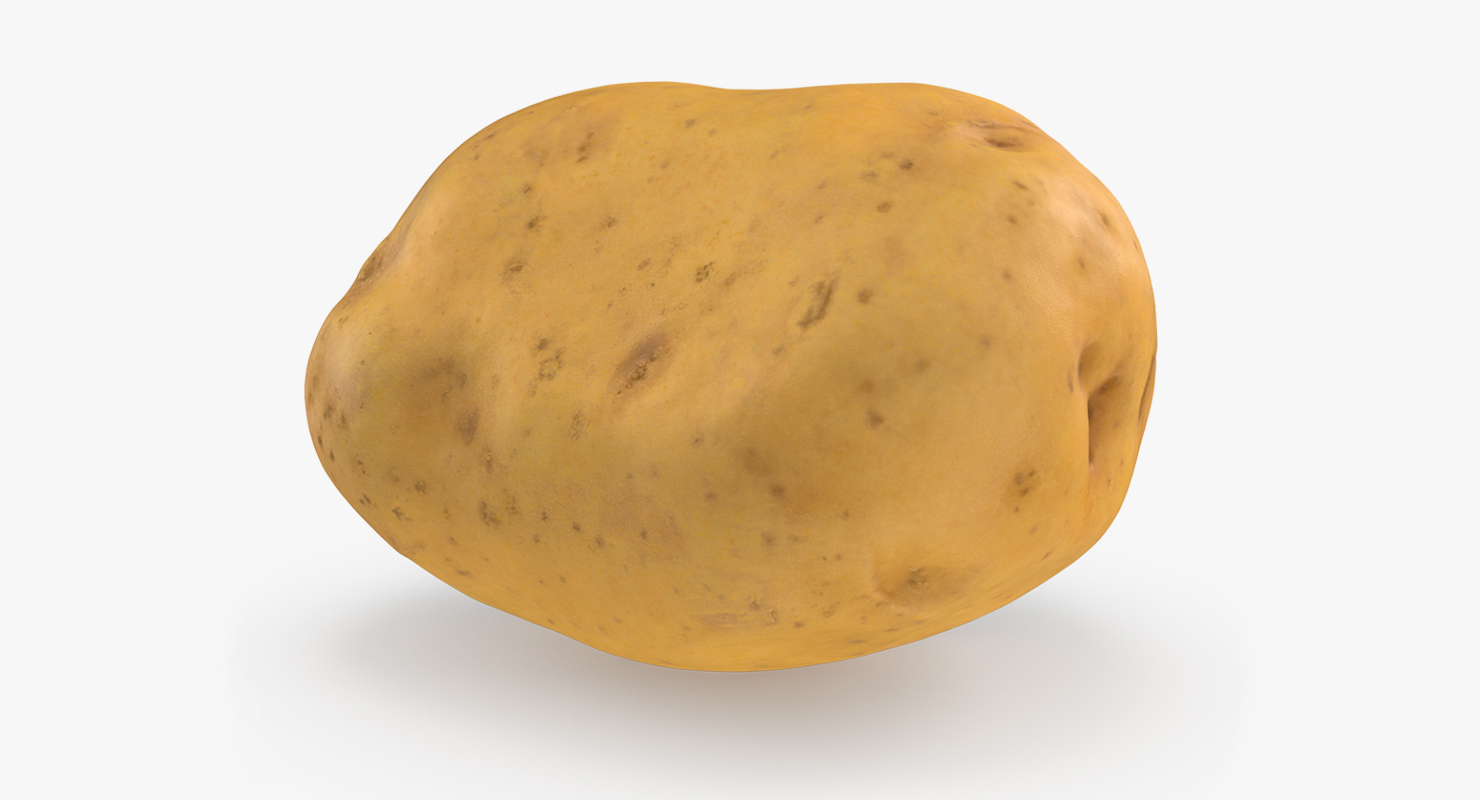 3D model Potato