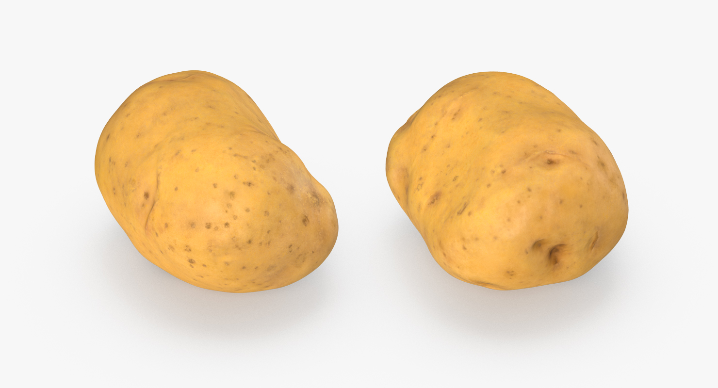 3D model Potato