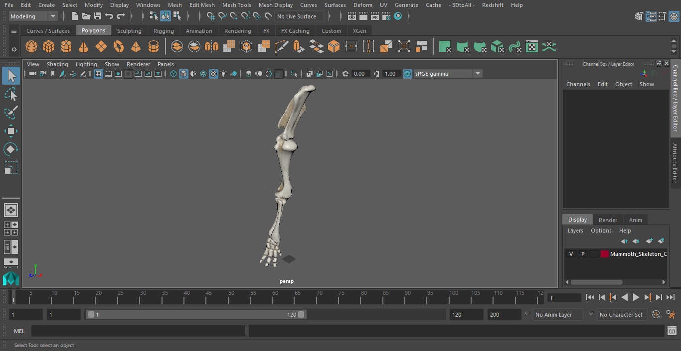 Mammoth Leg Bones 3D