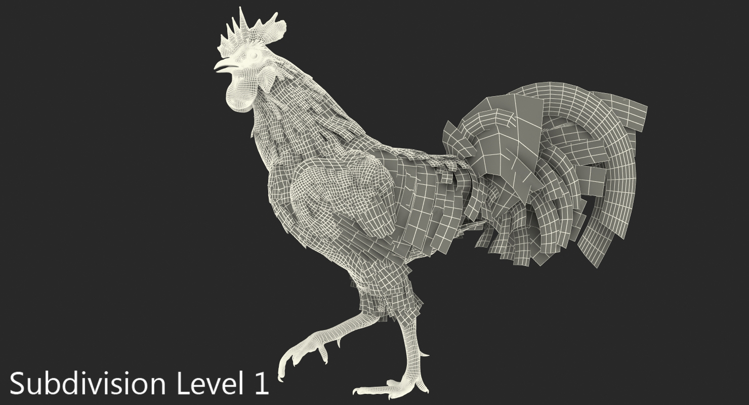 3D model Rooster Walking