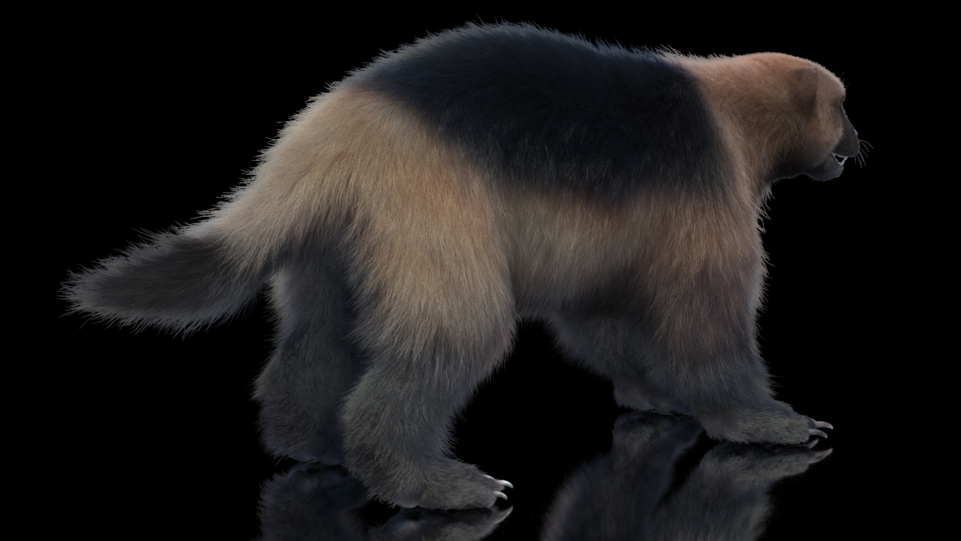 3D model Wolverine Light Color Fur