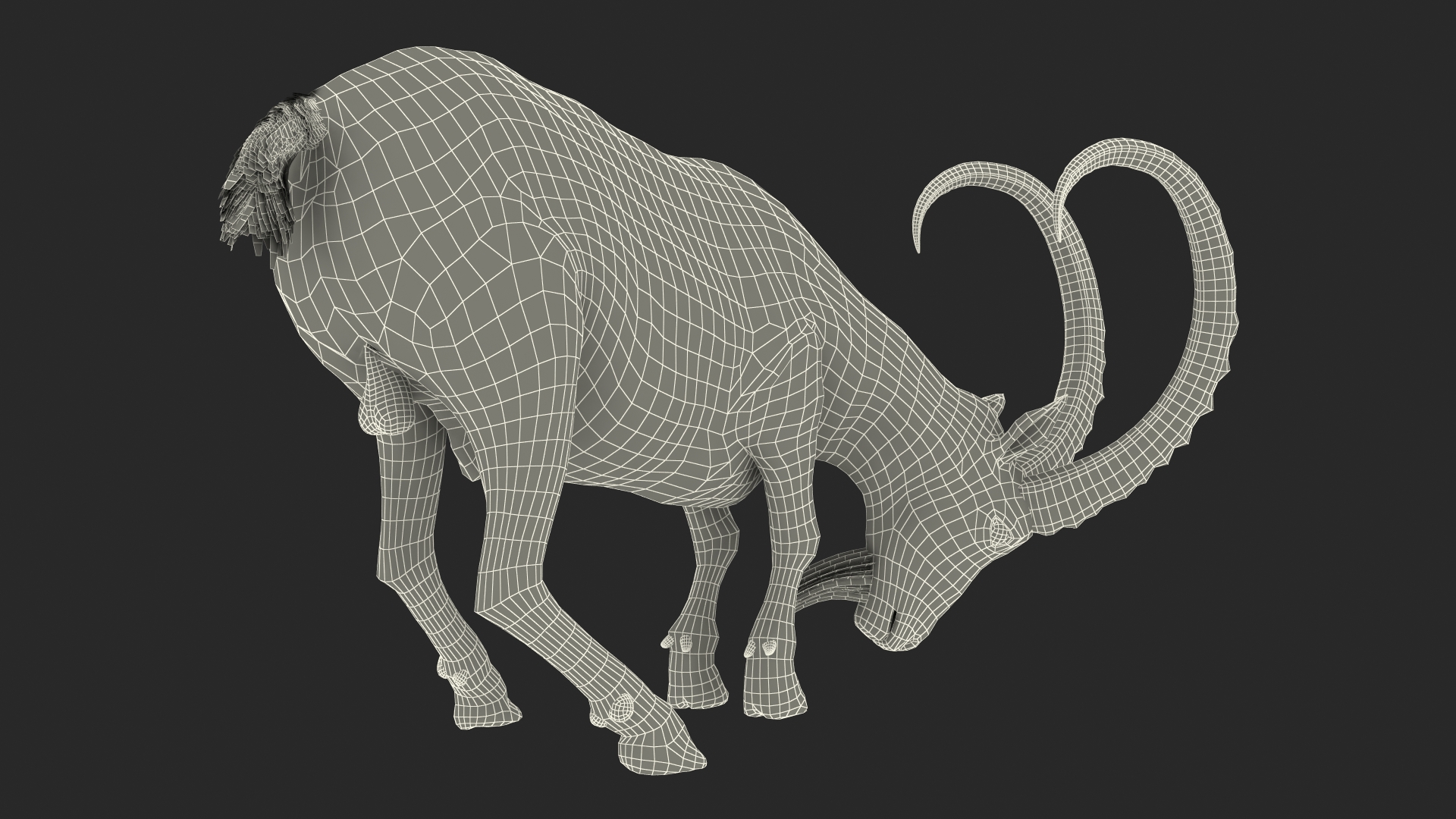 3D Alpine Ibex with Large Horns model