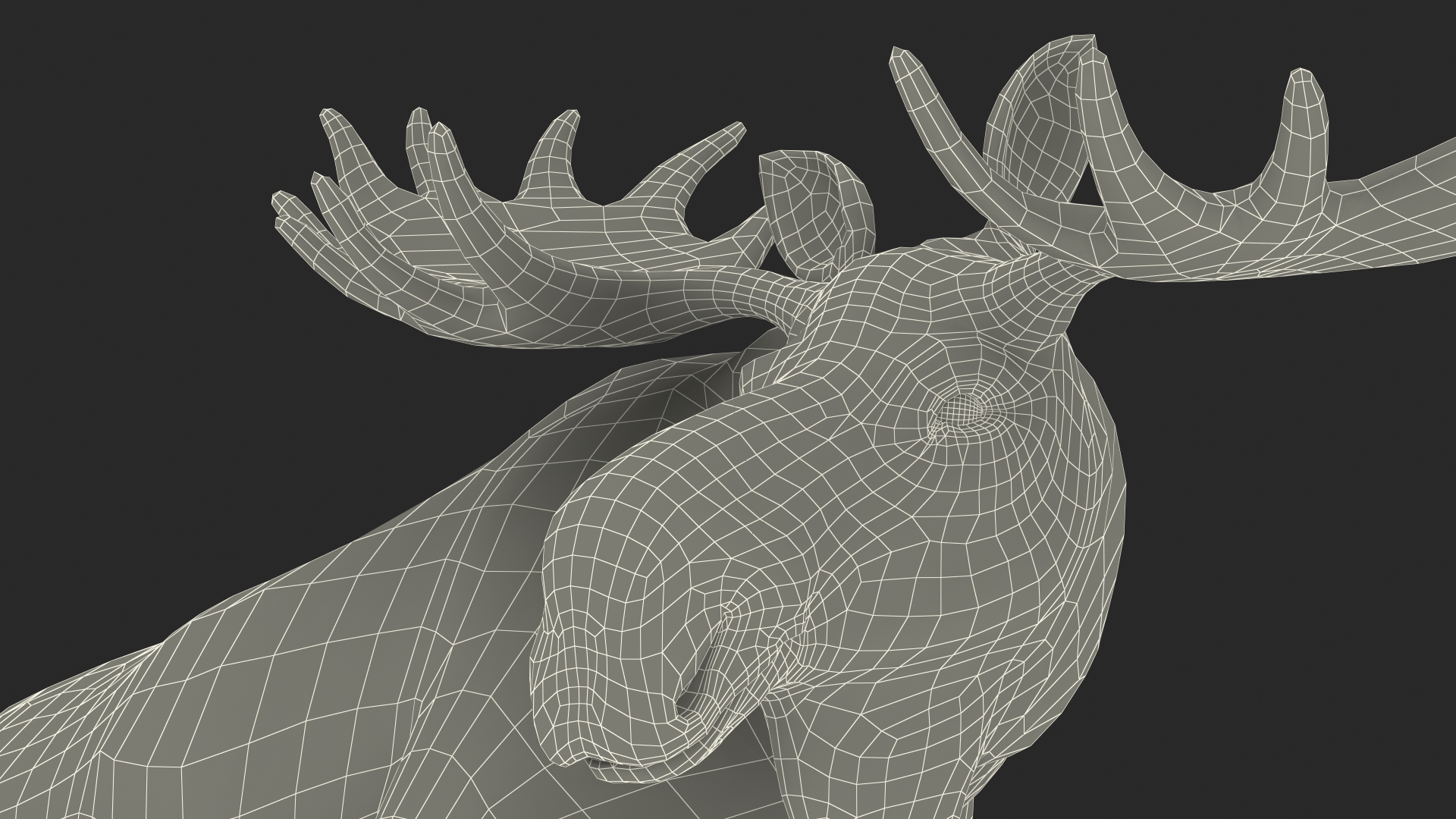 3D Lying Moose No Fur model